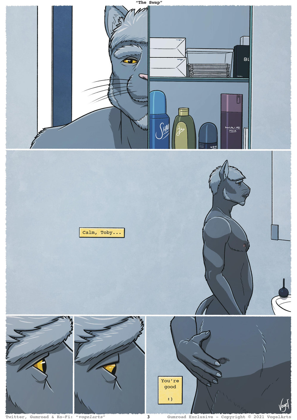Page 3